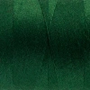Wonderfil Polyester Dikiş İpliği - DS854 - Green House
