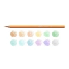 CARİOCA 43034 PASTEL RENKLER KURU BOYA KALEMİ 12 RENK