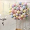 Makaron Karışık Renklerde 10 Lu latex Balon Küçük Boy