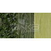 Daler Rowney Georgian Water Mixable Oil Su Bazlı Yağlı Boya 37ml 363 Olive Green