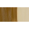 Maimeri Classico 60ml Yağlı Boya 161 Raw Sienna