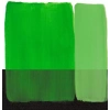 Maimeri Acrilico Akrilik Boya 323 Yellowish Green 200ml