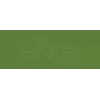 Copic Various Ink G99 Olive