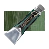 Rembrandt 40ml Yağlı Boya Seri:1 No:629 Green Earth