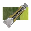 Rembrandt 40ml Yağlı Boya Seri:3 No:281 Transp. Yellow Green