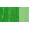 Van Gogh 40ml Yağlı Boya Seri:1 No:614 Perm Green