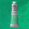 Winsor & Newton Winton Yağlı Boya 37ml 241 Emerald Green