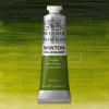 Winsor & Newton Winton Yağlı Boya 37ml 599 Sap Green