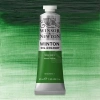 Winsor & Newton Winton Yağlı Boya 37ml 637 Terre Verte