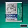 Winsor & Newton Tablet Sulu Boya No:696 Viridian Hue