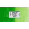 Schmincke Horadam Aquarell 1/1 Tablet 526 Permanent Green seri 2