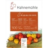 Hahnemühle Cezanne Sulu Boya Blok Cold Pressed 300g 10 Yaprak 30x40cm