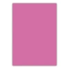Bigpoint A4 Cilt Kapağı 150 Mikron Opak Pembe 100lü Paket