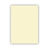 Bigpoint Fon Kartonu 50x70cm 160 Gram Fildişi