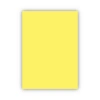 Bigpoint Fon Kartonu 50x70cm 160 Gram Sarı