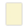 Bigpoint Fon Kartonu 50x70cm 120 Gram Fildişi