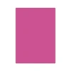 Bigpoint Fosforlu Fon Kartonu 50x70cm Pembe