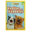 Kediler ve Köpekler