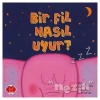 Bir Fil Nasıl Uyur?