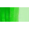 Daler Rowney System 3 Akrilik Boya 500ml 349 Fluorescent Green