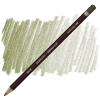 Derwent Coloursoft Pencil Yumuşak Kuruboya Kalemi C480 Lincoln Green
