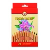 Koh-i Noor Jumbo Naturel Kalın Kuru Boya Kalemi Seti 24 Renk