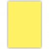ALEX KOLEJ FON KARTONU 50x70 LİMON SARISI 160 GR 100 LÜ 1053