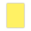 Bigpoint Fon Kartonu 50x70cm 120 Gram Sarı