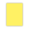 Bigpoint Fon Kartonu 50x70cm 160 Gram Sarı
