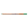 Bruynzeel Design Colour Pencils Kuru Boya Kalemi 66 Green