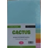 Cactus Fotokopi Kağıdı Renkli A4 80 Gr. 100Lü 5 Renk