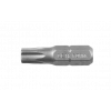 CETA FORM CB/806T Delikli Torx Bits Uç T10x25 mm
