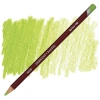 Derwent Pastel Pencil P480 May Green