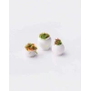 Eshel Maket Çiçekli Toprak Saksı 1/75 3lü
