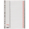Esselte Seperatör 1-31 Rakamlı Plastik A4 100108