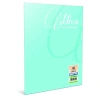 Gıpta Defter (Dikişli ) Mica Plastik Kapak Çizgili 100 YP A4 2488