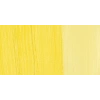 Maimeri Classico Yağlı Boya 200ml 081 Cadmium Yellow Light