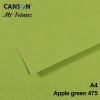 Mi-Teintes 160gr A4 475 Apple Green 3lü