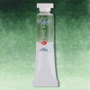 St. Petersburg White Nights Tüp Sulu Boya 10 ml. 725 Green