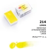 St. Petersburg White Nights Tam Tablet Sulu Boya 214 Lemon