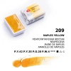 St. Petersburg White Nights Tam Tablet Sulu Boya 209 Naples Yellow