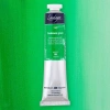 St. Petersburg Ladoga Yağlı Boya 46 ml. 749 Veridian Green (Hue)
