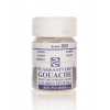 Talens Guaj Boya 800 Silver (Metalik)