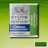 Winsor & Newton Cotman Yarım Tablet Sulu Boya 599 Sap Green