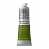 Winsor & Newton Winton Yağlı Boya 37 ml. 37 Sap Green