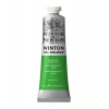 Winsor & Newton Winton Yağlı Boya 37 ml. 48 Permanent Green Light