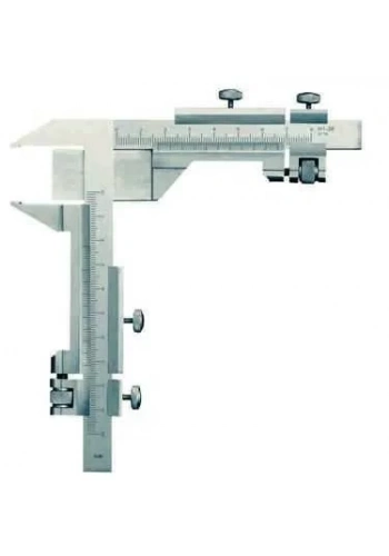 Kedileri Anlama Kılavuzu