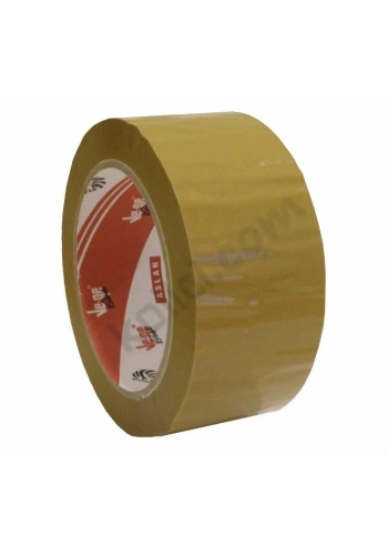 On Birinci Roman, On Sekizinci Kitap