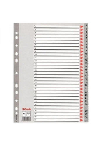 Esselte Seperatör 1-31 Rakamlı (Ayraç)