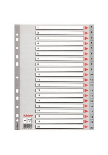 Esselte Seperatör 1-20 Rakamlı (Ayraç)